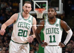 开云官网入口-一睹为快！洛杉矶暴雪竞技场正式开放，开启体育新纪元