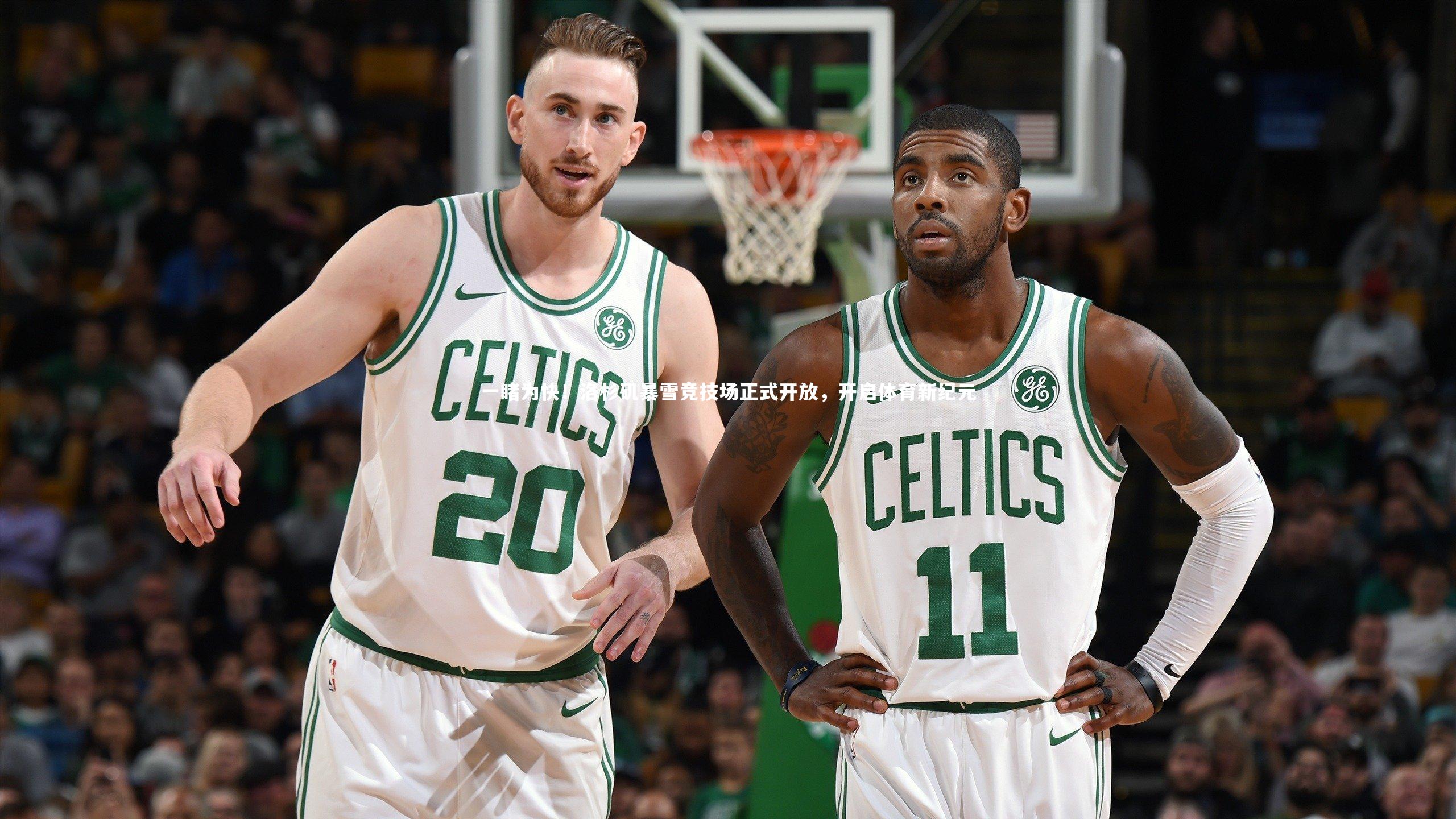 一睹为快！洛杉矶暴雪竞技场正式开放，开启体育新纪元